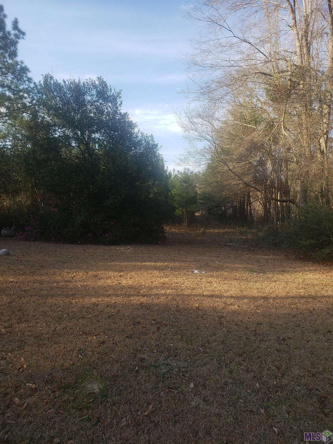 Sold • Co-Listing Agent