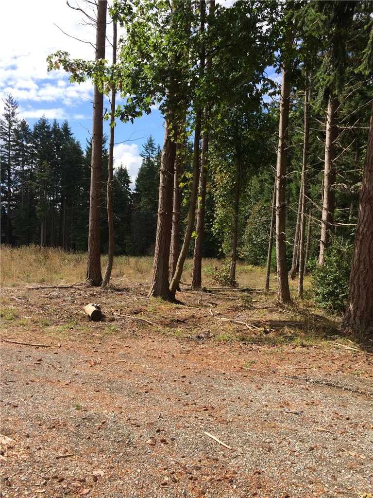 2812 Grimm Rd, Langley, WA 98260 - photo 1