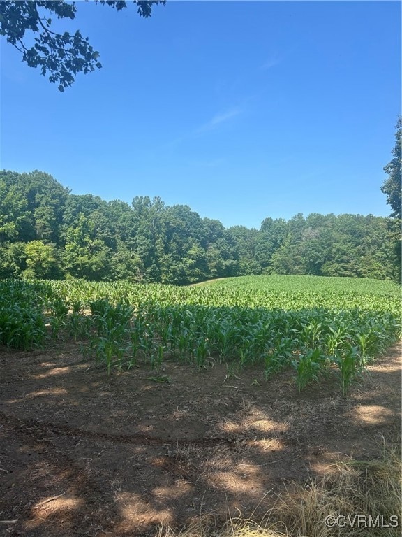 View of undeveloped land featuring rows of crops and rural landscape