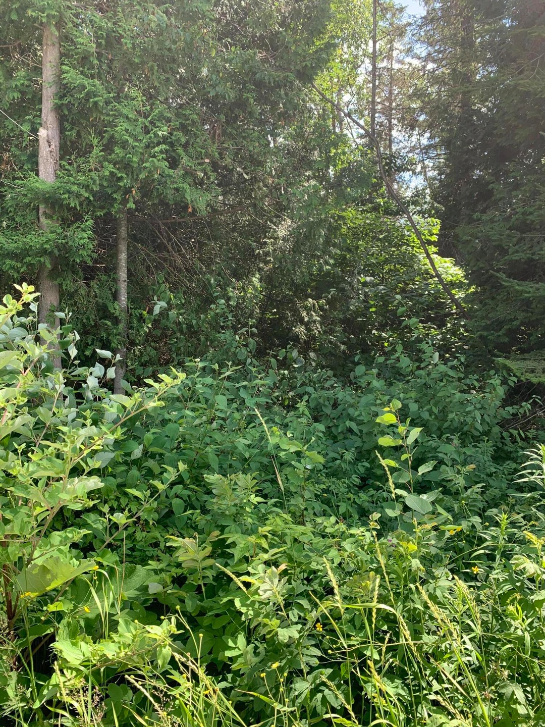 Inside West end of Property