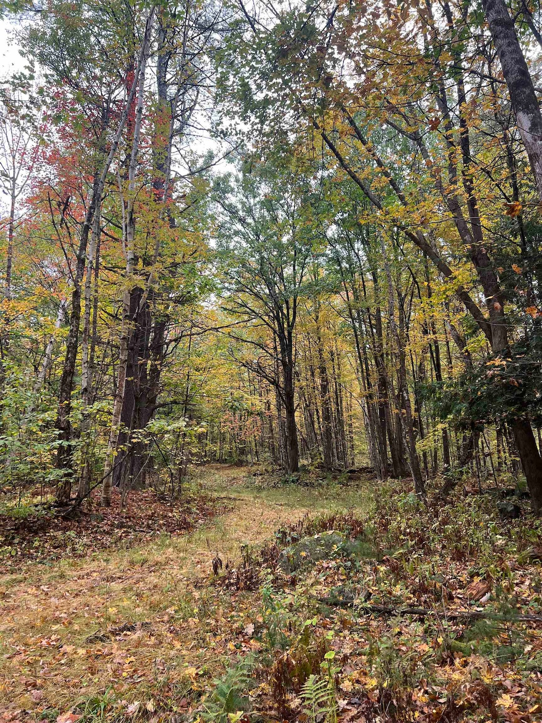 0 Freeman Colby Rd, Henniker, NH 03242 - photo 1