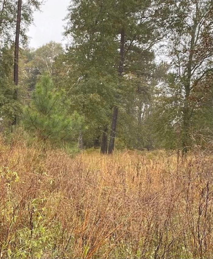 000 Simmons Dairy Rd, Cordele, GA 31015 - photo 1