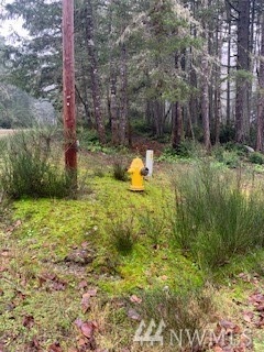 9020 Davenport Rd, Anderson Island, WA 98303 - photo 1