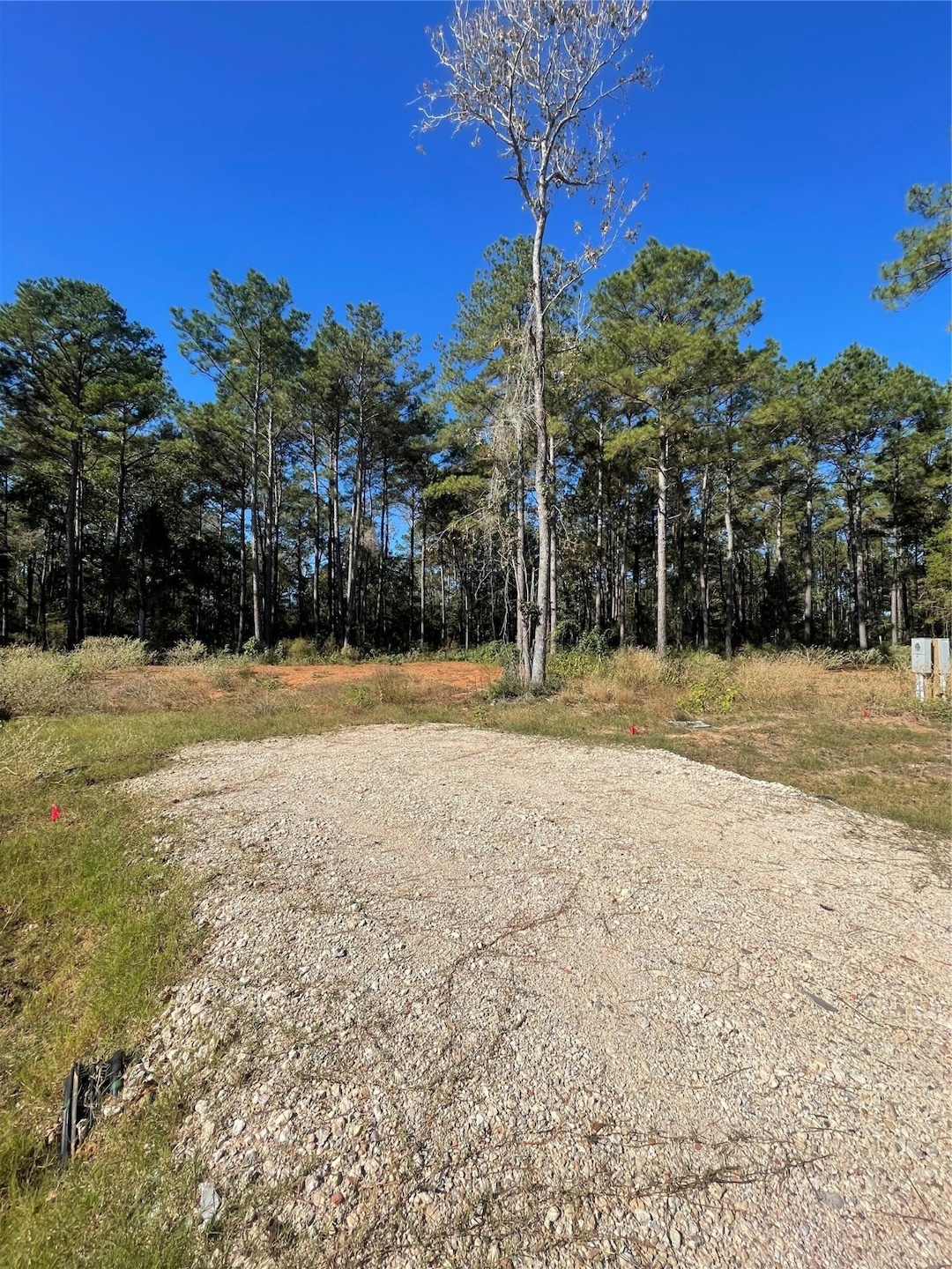 11303 Annie Creek Dr, Willis, TX 77378 - photo 1