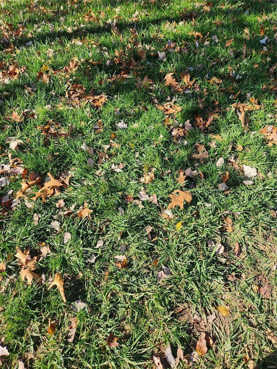 unlisted-address, Robertsville, MO 63072 - photo 1