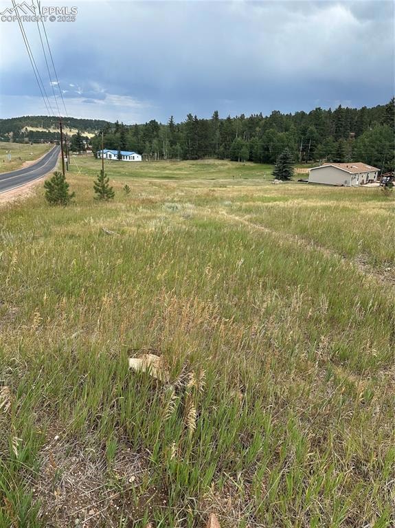 17 and 33 Deer Ridge Trail, Florissant, CO 80816 - photo 1