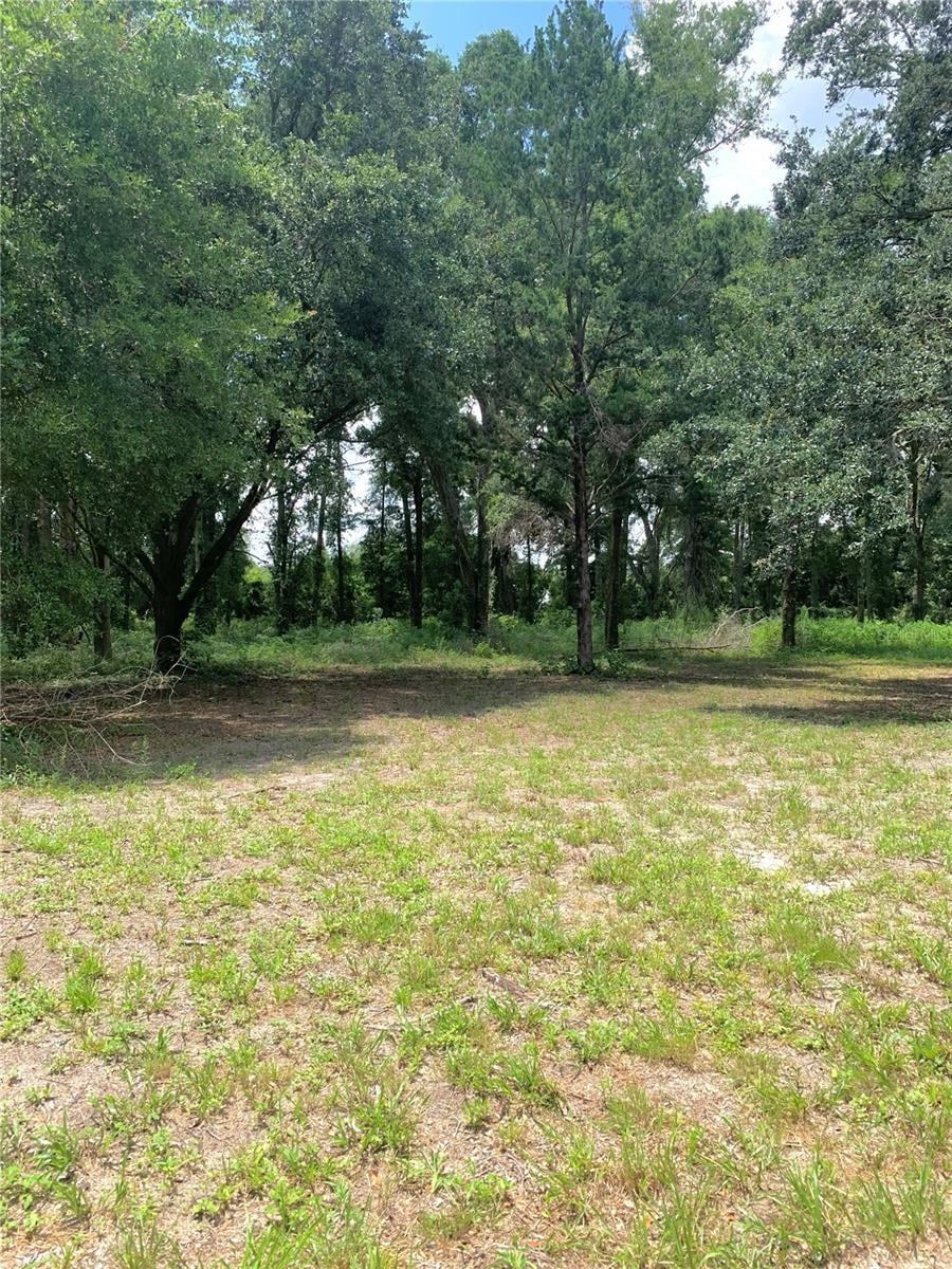 Sold $95,000 • Co-Listing Agent