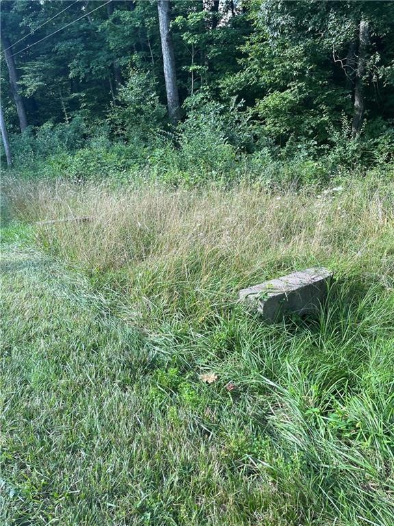 1233 E Mohican Trail, Fugit Township, IN 47240 - photo 1