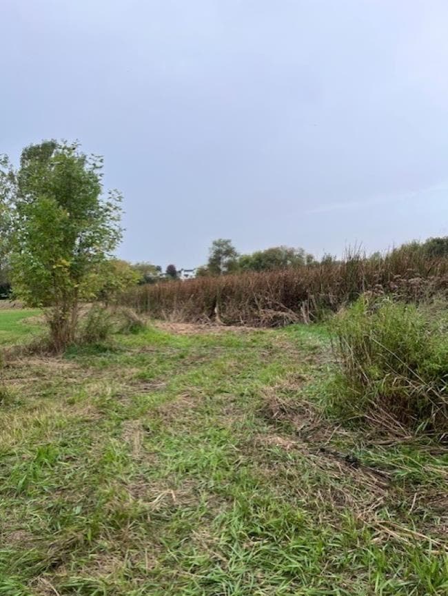 1051 N Cummings Rd, Davison Township, MI 48423 - photo 1