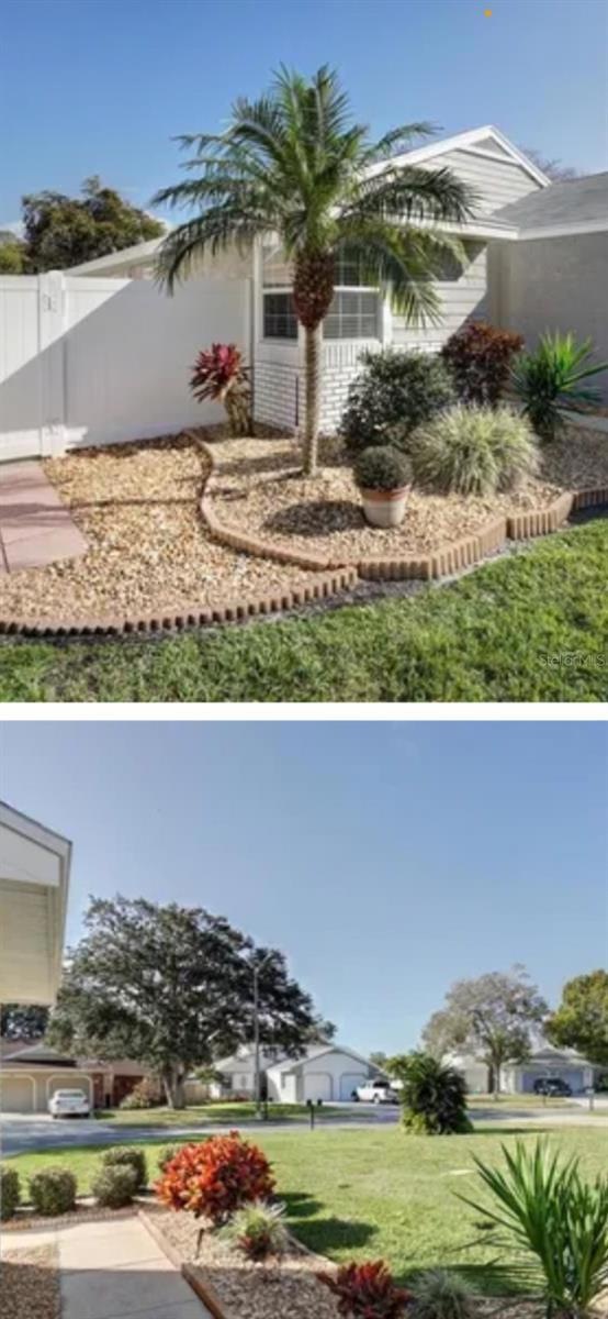 343 Hibiscus Dr unit 118, Palm Harbor, FL 34684 - photo 1