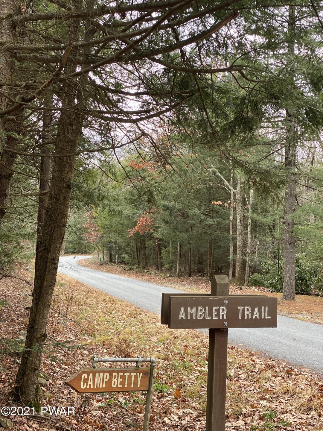 115 Ambler Trail, Dingmans Ferry, PA 18328 - photo 1