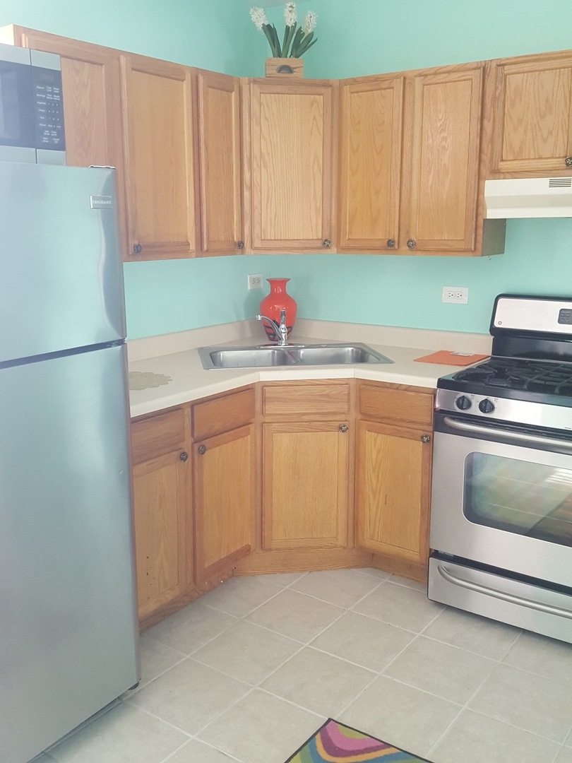 5543 W Barry Ave unit 1, Chicago, IL 60641 - photo 1