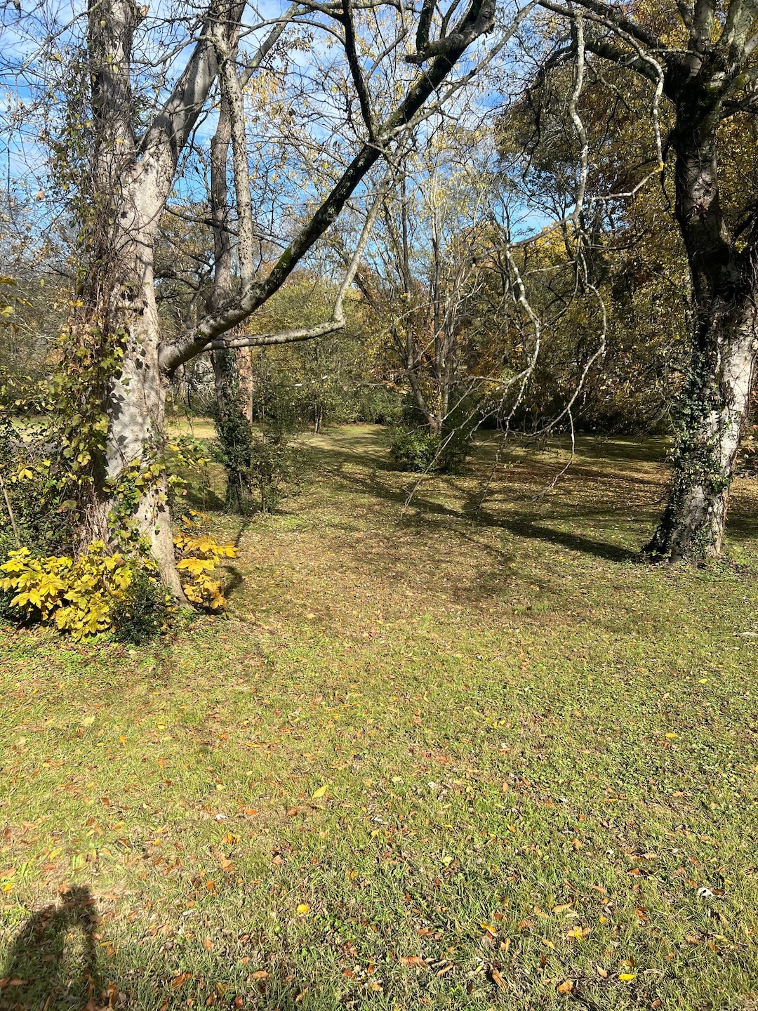 0 Lake Dr unit RTC3043233, Columbia, TN 38401 - photo 1