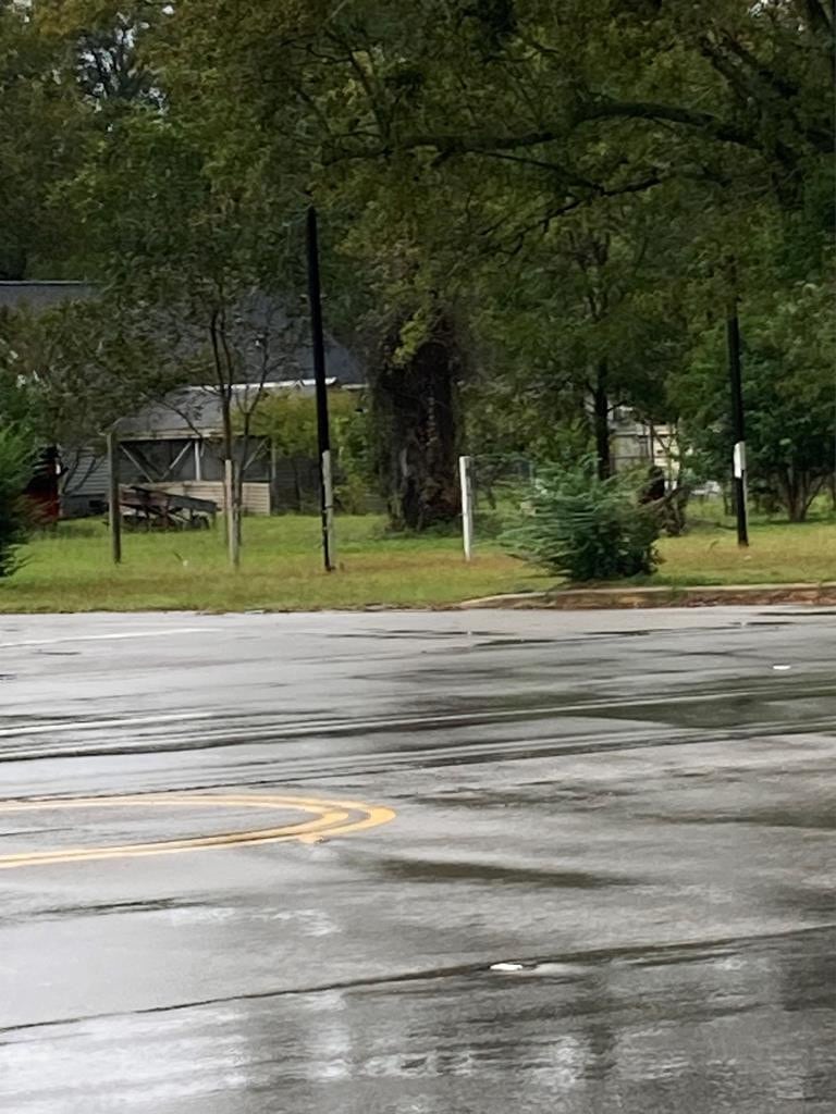 200 W Boyce St, Manning, SC 29102 - photo 1