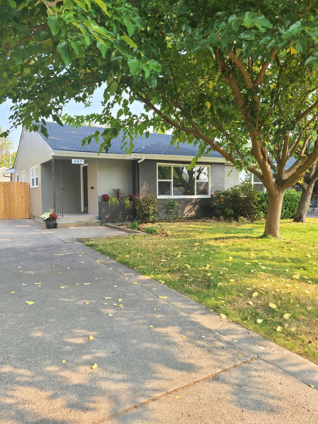 new front