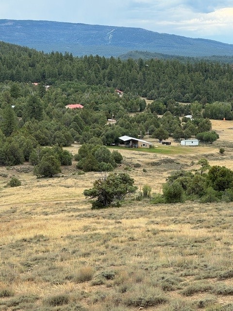 Unit 5 Tract 1 Private Drive 1783, Chama, NM 87520 - photo 1