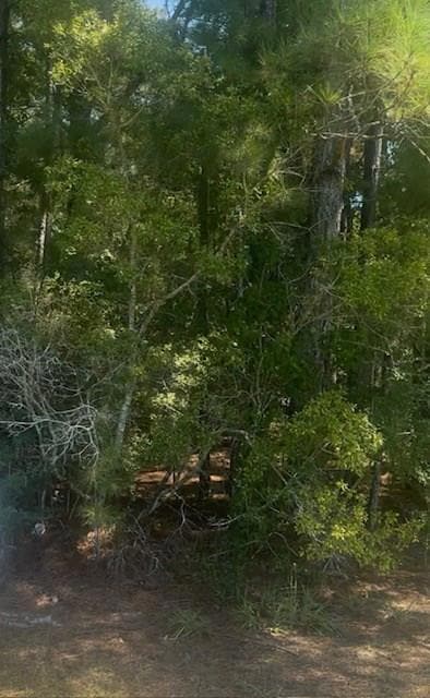 NHN Mint Julep Airpark, Perkinston, MS 39573 - photo 1