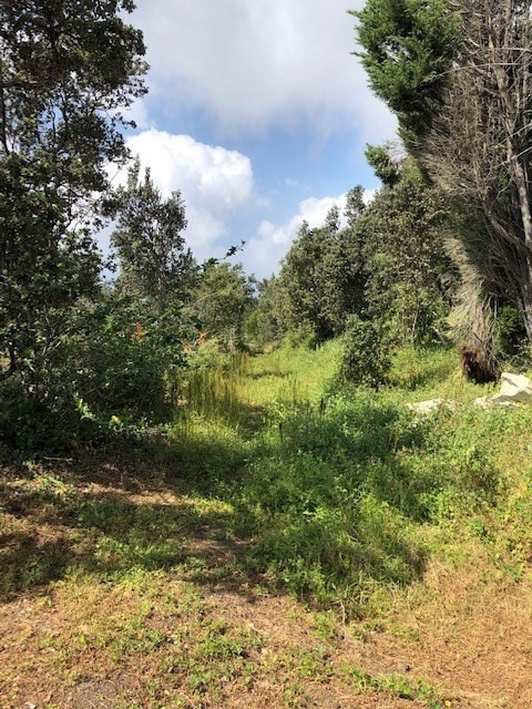 Unused easement from house to Lotus Blossom.