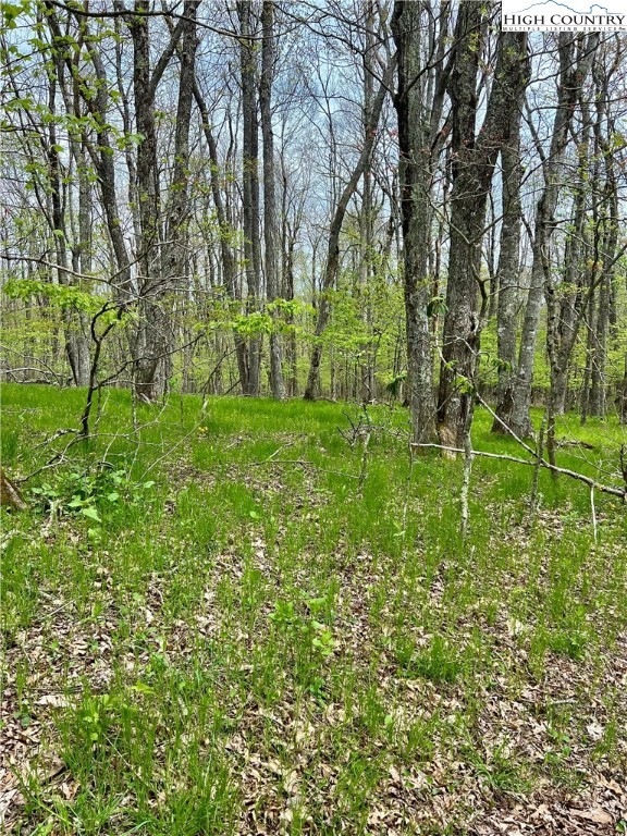 Flat land to build your mountain home!