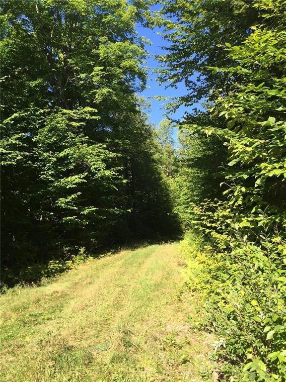 wooded. peaceful. private.