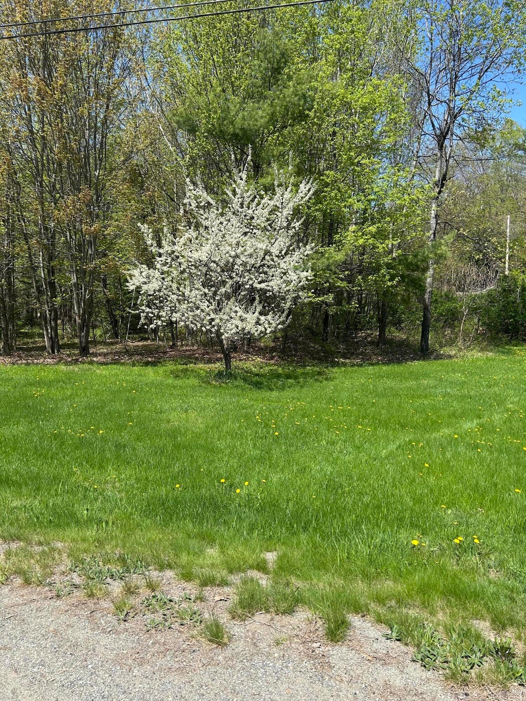 For Sale $59,900
