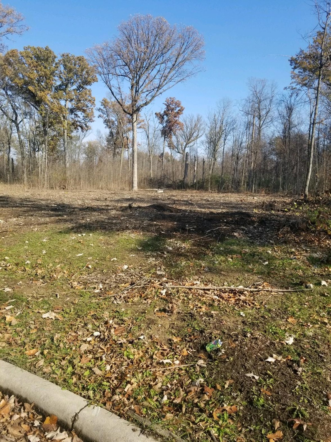 Junita Savage lot 1 Austin Ct