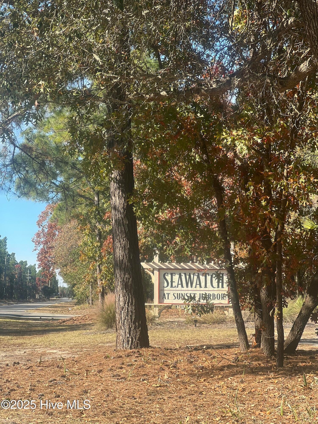 653 Antonica Place SE, Bolivia, NC 28422 - photo 1