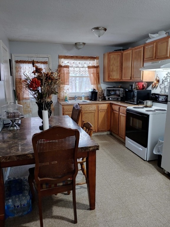 27-29 Oakwood Terrace, Springfield, MA 01109 - photo 1