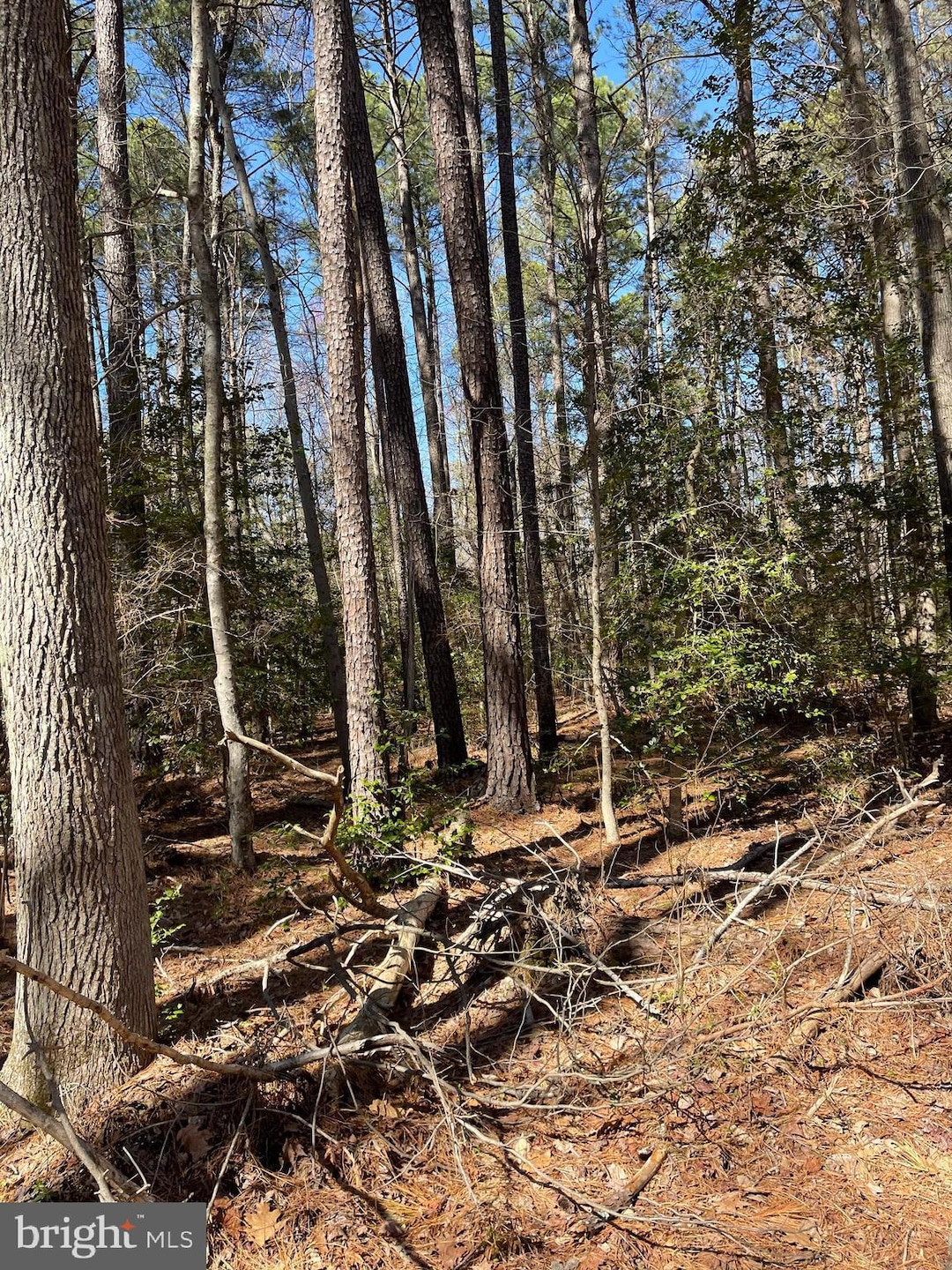 0 1st St unit MDCH2041218, Nanjemoy, MD 20662 - photo 1