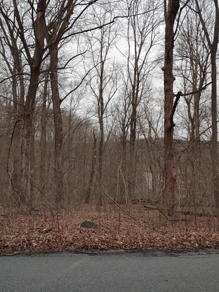 0 Virginia Ln, Waverly, OH 45690 - photo 1