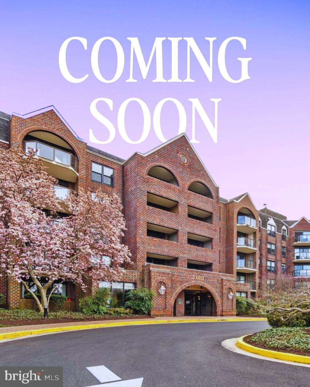 The Astoria unit 237, Arlington, VA 22201 - photo 1