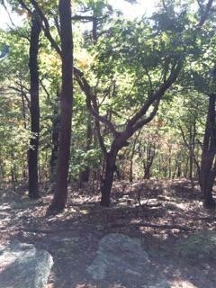 0 Brannon Mountain Rd unit 1037113, Elkins, AR 72727 - photo 1