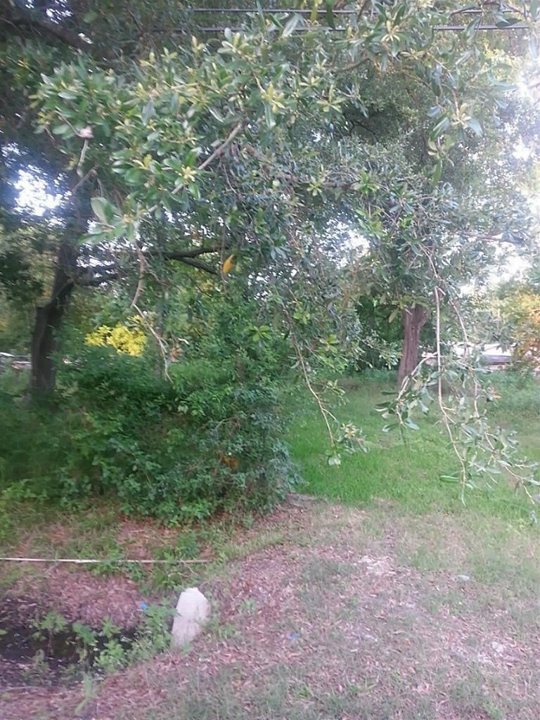 0 Sandra St unit 33902265, Houston, TX 77016 - photo 1