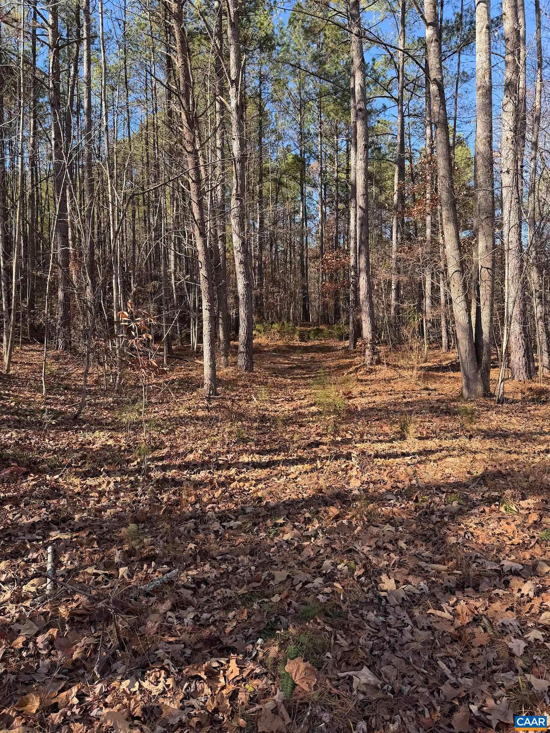 TBD Union Hill Dr, Wingina, VA 24599 - photo 1