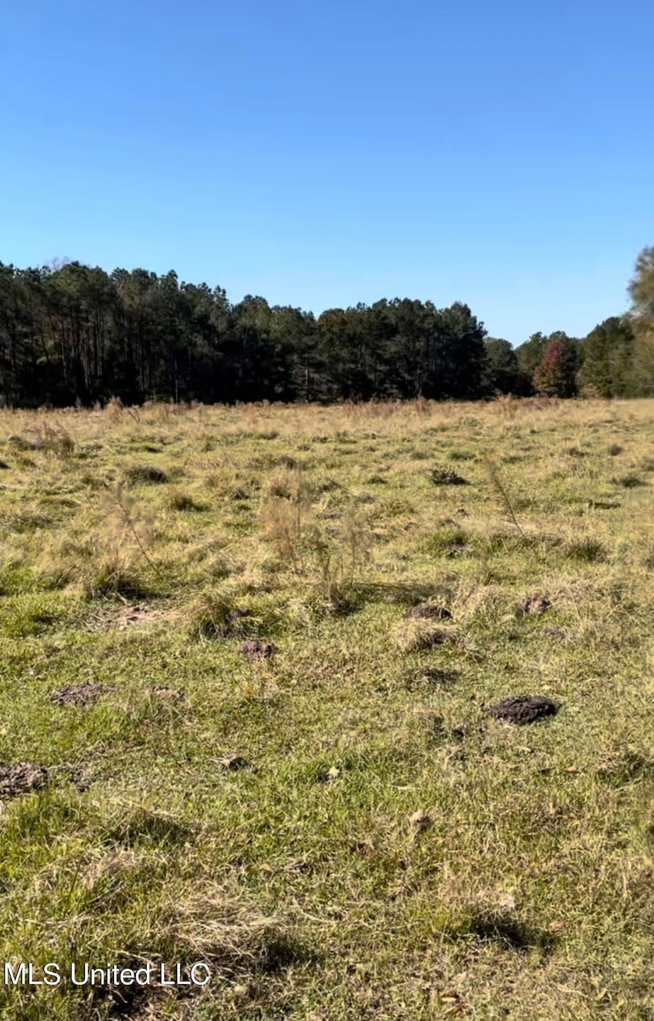 1105 Chapman Rd, Utica, MS 39175 - photo 1