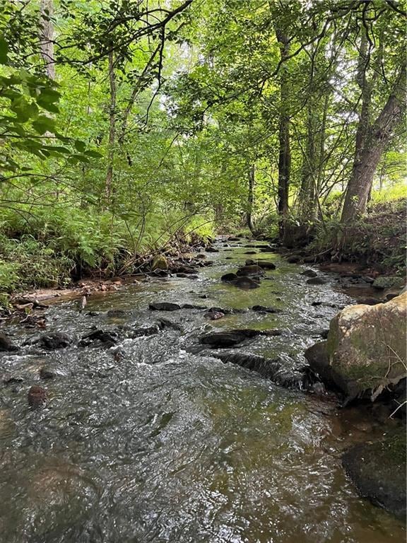 127 Black Ankle Trail, Cherry Log, GA 30522 - photo 1