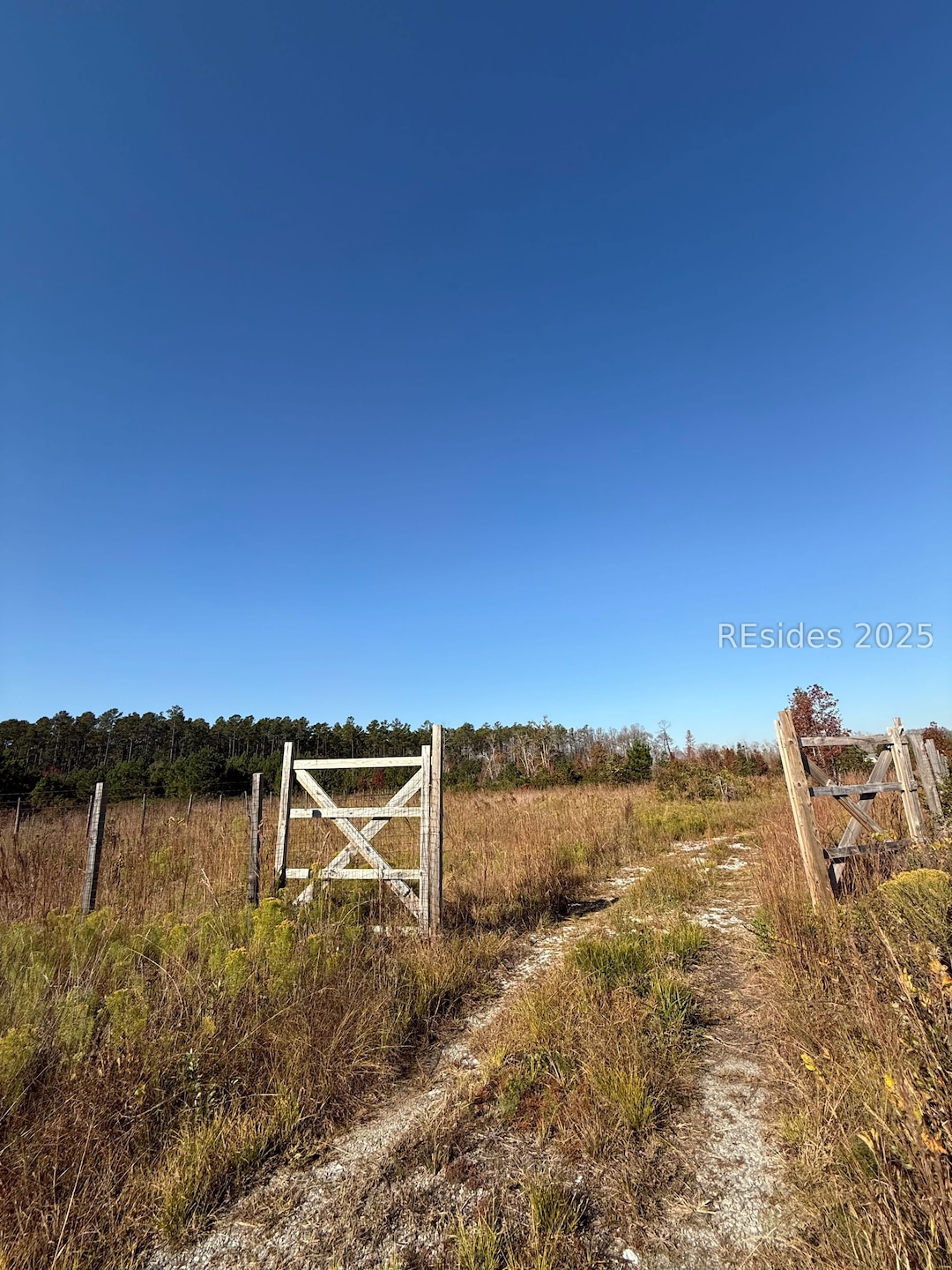 51 Willys Way, Early Branch, SC 29916 - photo 1