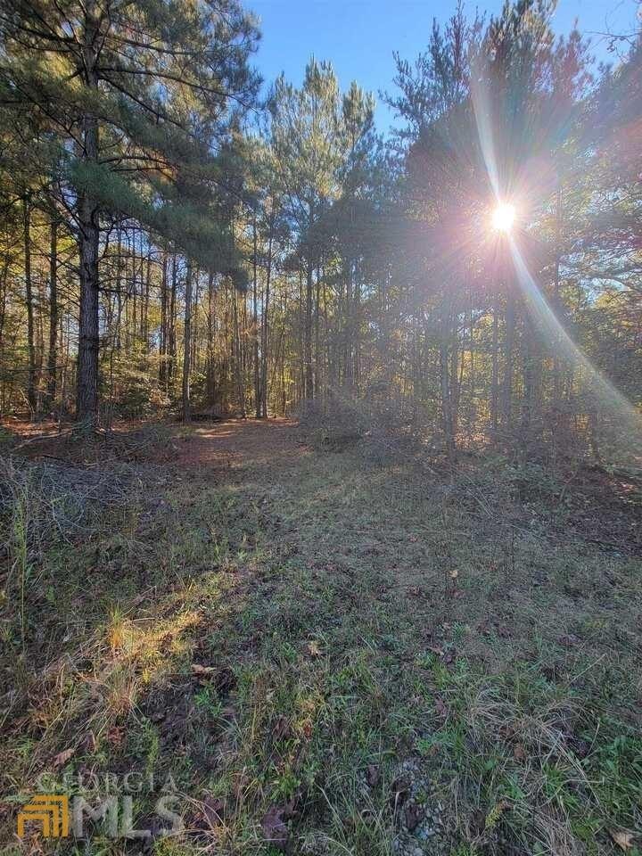 0 Paradise Ln unit 20016910, Commerce, GA 30530 - photo 1