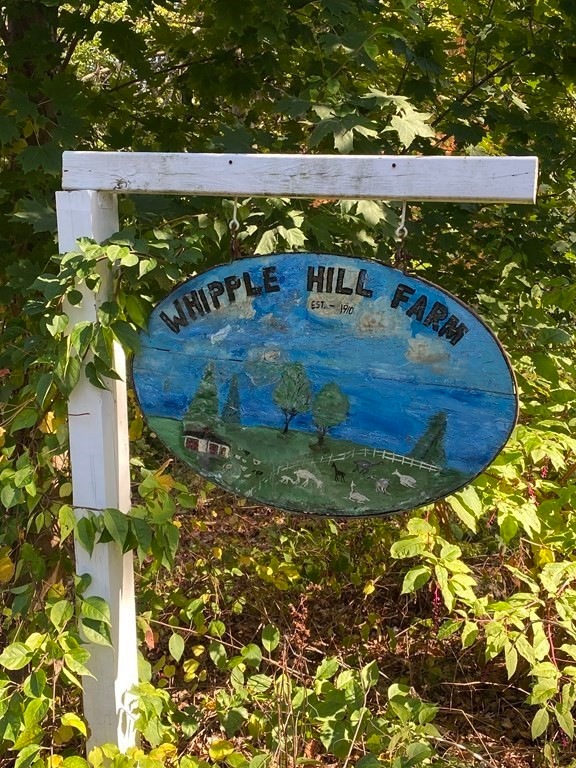 36 Summer St, Lexington, MA 02420 - photo 1