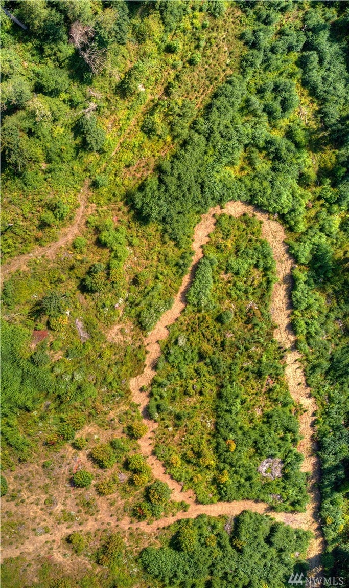 0 256th St E, Graham, WA 98338 - photo 1