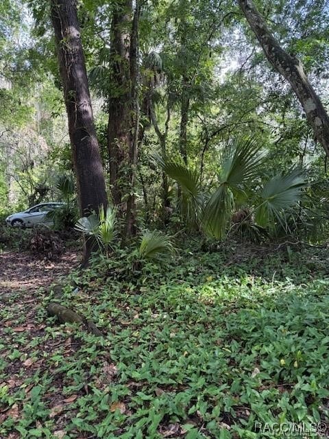 9379 E Tin Pan Aly, Inverness, FL 34453 - photo 1