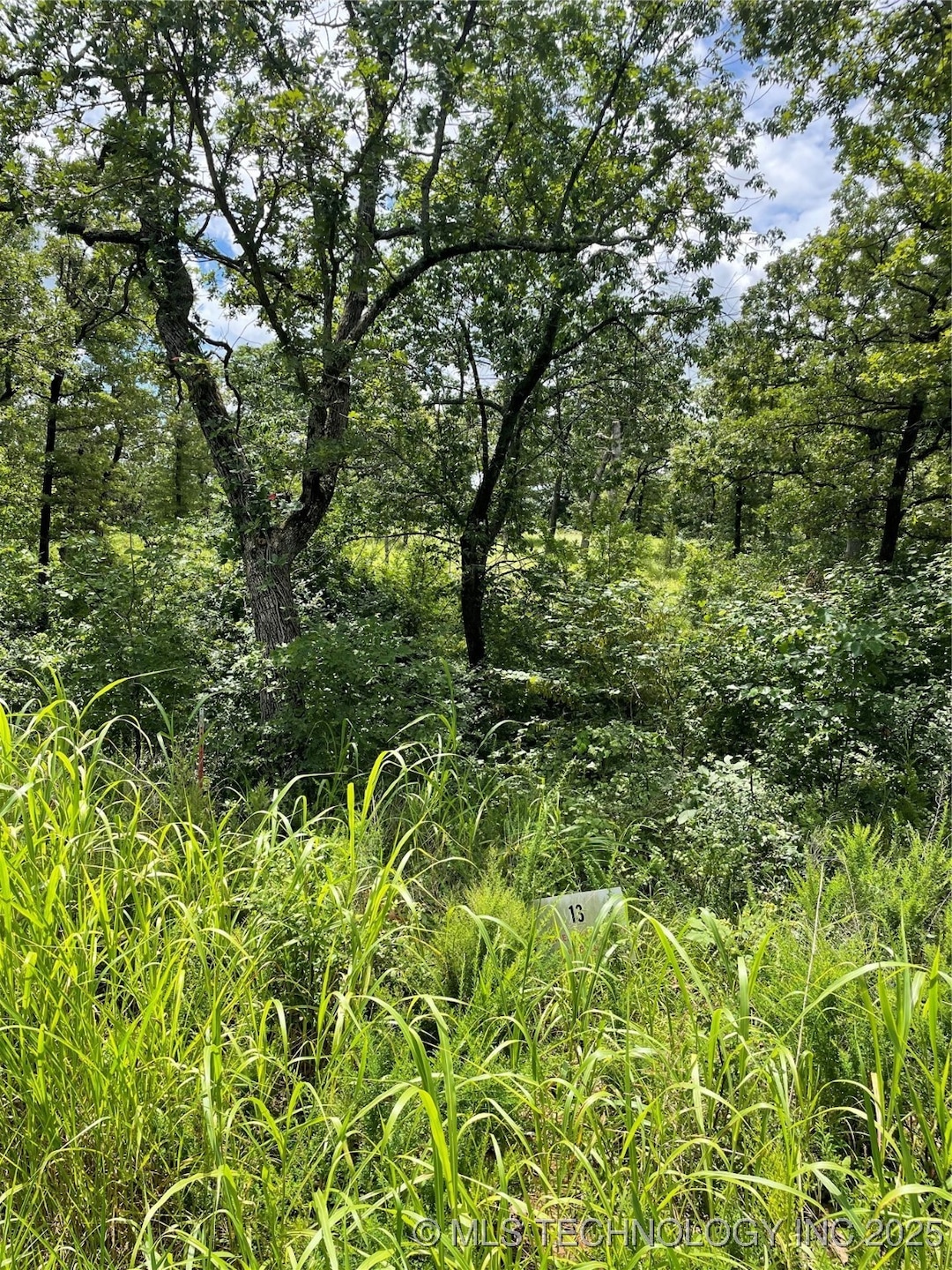 13 S Scissortail, Sulphur, OK 73086 - photo 1