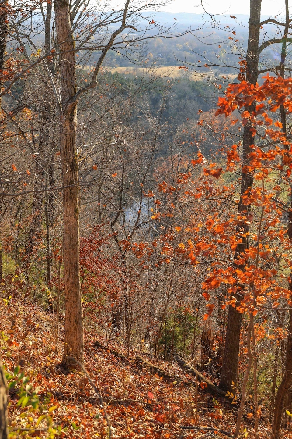 2064 Hillsboro Rd, Franklin, TN 37069 - photo 1