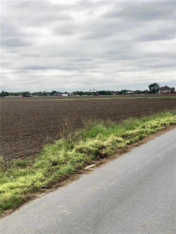 1.2 M Whalen Rd, Donna, TX 78537 - photo 1