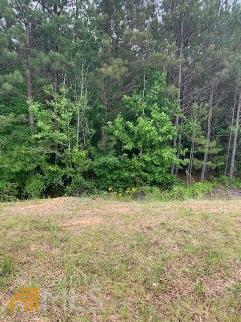 218 Lambert Overlook Cir unit 13,67,27,28,31,33,38, Carrollton, GA 30117 - photo 1