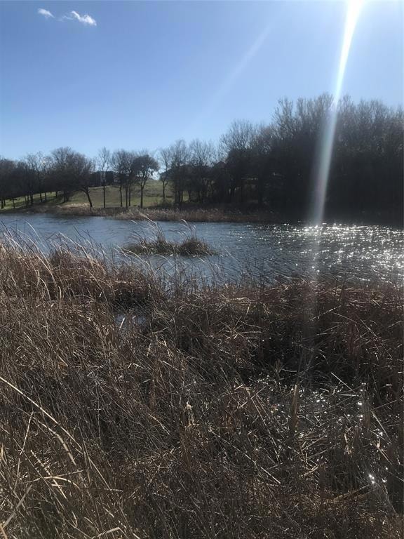 4012 Whitecrest Dr, Whitney, TX 76692 - photo 1