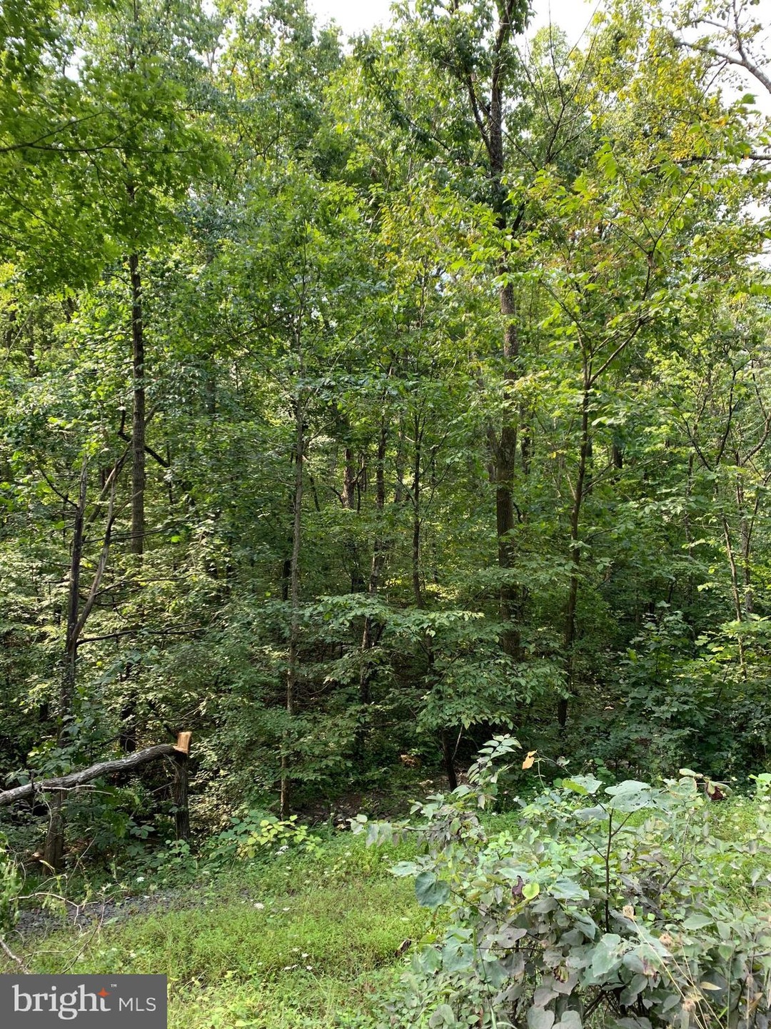 0 Unknown unit VASH117156, New Market, VA 22844 - photo 1