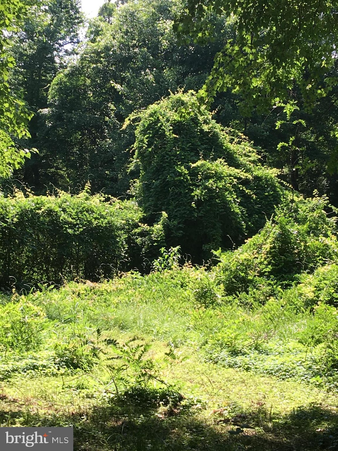 17629 Piney Point Rd, Tall Timbers, MD 20690 - photo 1