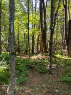 image1 (14)
