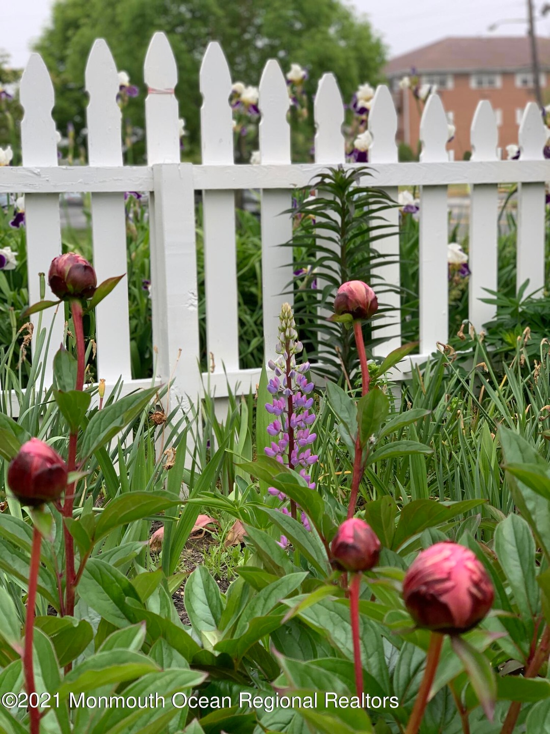 D1680E01-4762-484F-AD7F-60FDF316C3AD